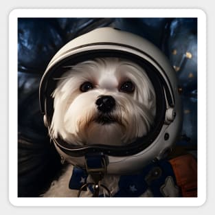 Astro Dog - Maltese Magnet